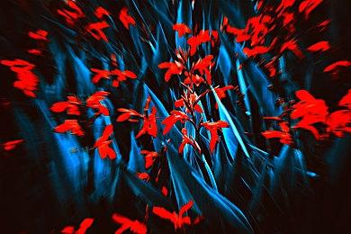 《极限国度》科隆预告片 B测已对全玩家开放